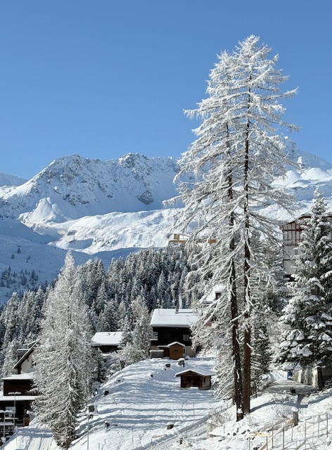 Winterblick Richtung Hörnli